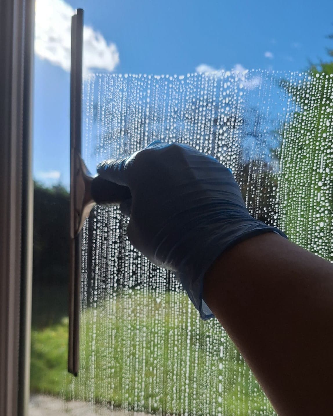 Main gantée de nitrile bleu passant une raclette sur une vitre ruisselante, jardin derrière