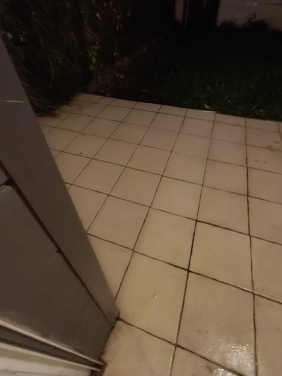 La même terrasse, dalles claires débarrassées de la mousse, joints nets, encore humides