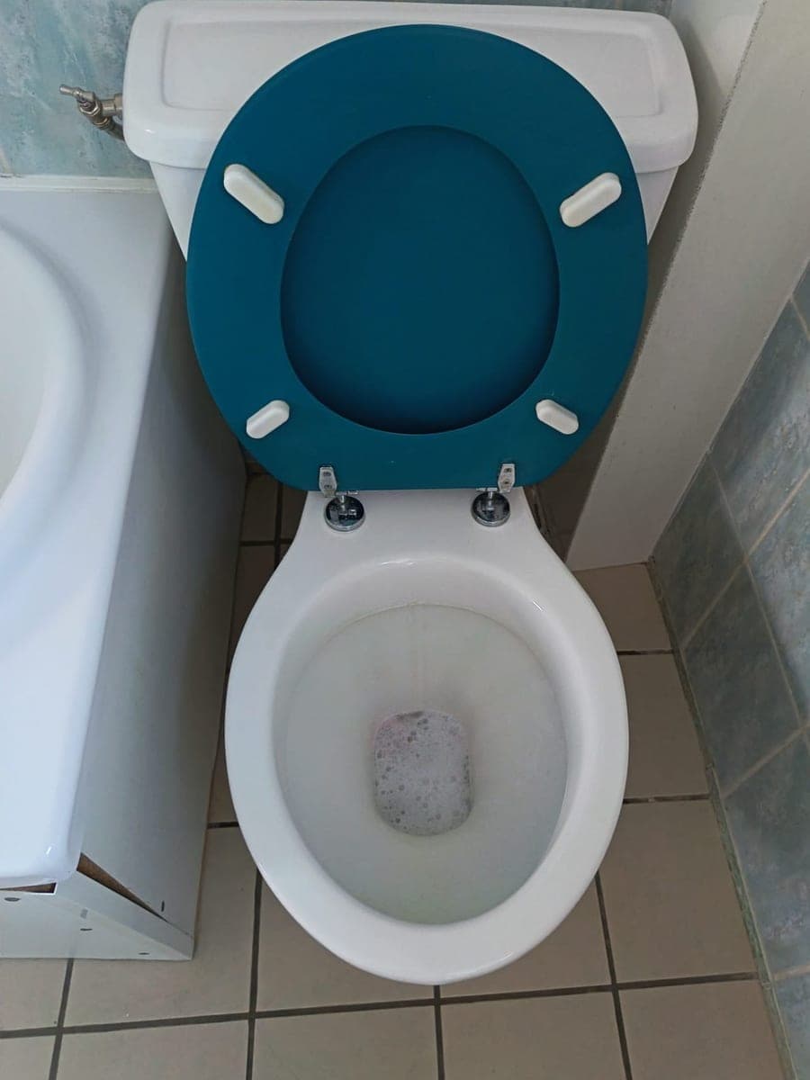 Le même WC à abattant bleu pétrole, cuvette redevenue blanche après le détartrage