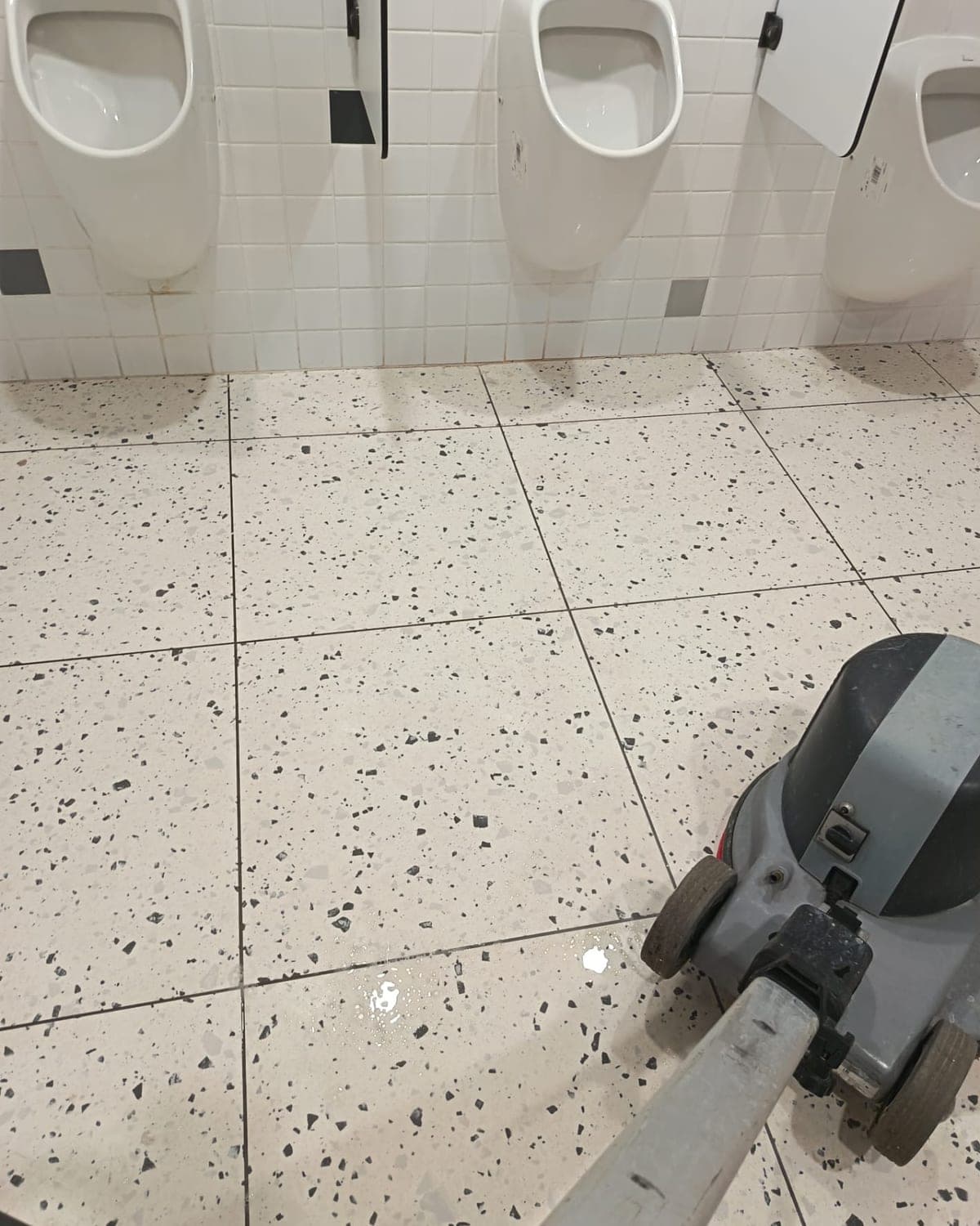 Urinoirs blancs et sol en granito mouillé, monobrosse en action sur des sanitaires de locaux