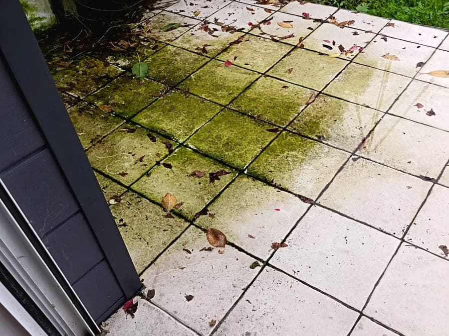 Dalles de terrasse recouvertes d'une plaque de mousse verte