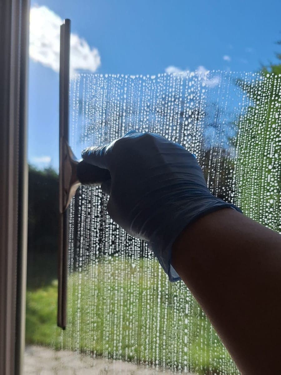 Main gantée de nitrile bleu passant une raclette sur une vitre ruisselante, jardin derrière