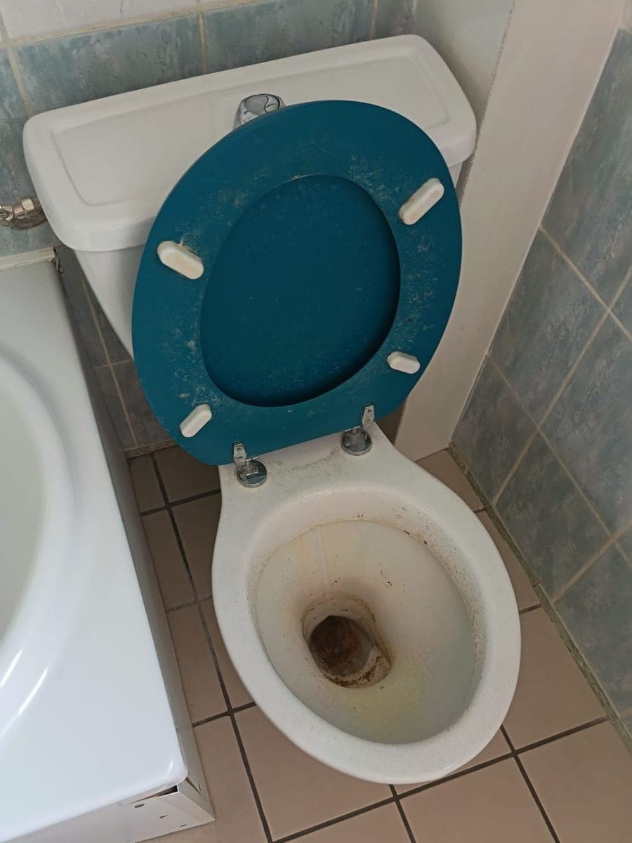 WC à abattant bleu pétrole, cuvette entartrée et brunie avant le détartrage