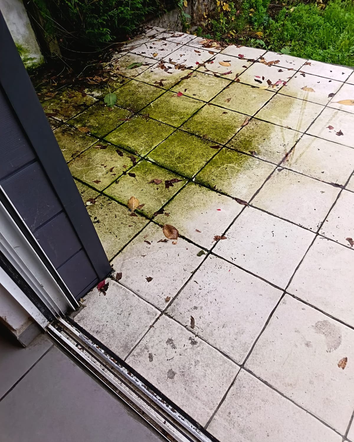 Terrasse en dalles claires couverte d'une plaque de mousse vert-jaune et de feuilles mortes